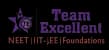 Team Excellent logo