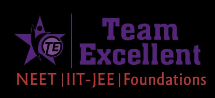 Team Excellent logo