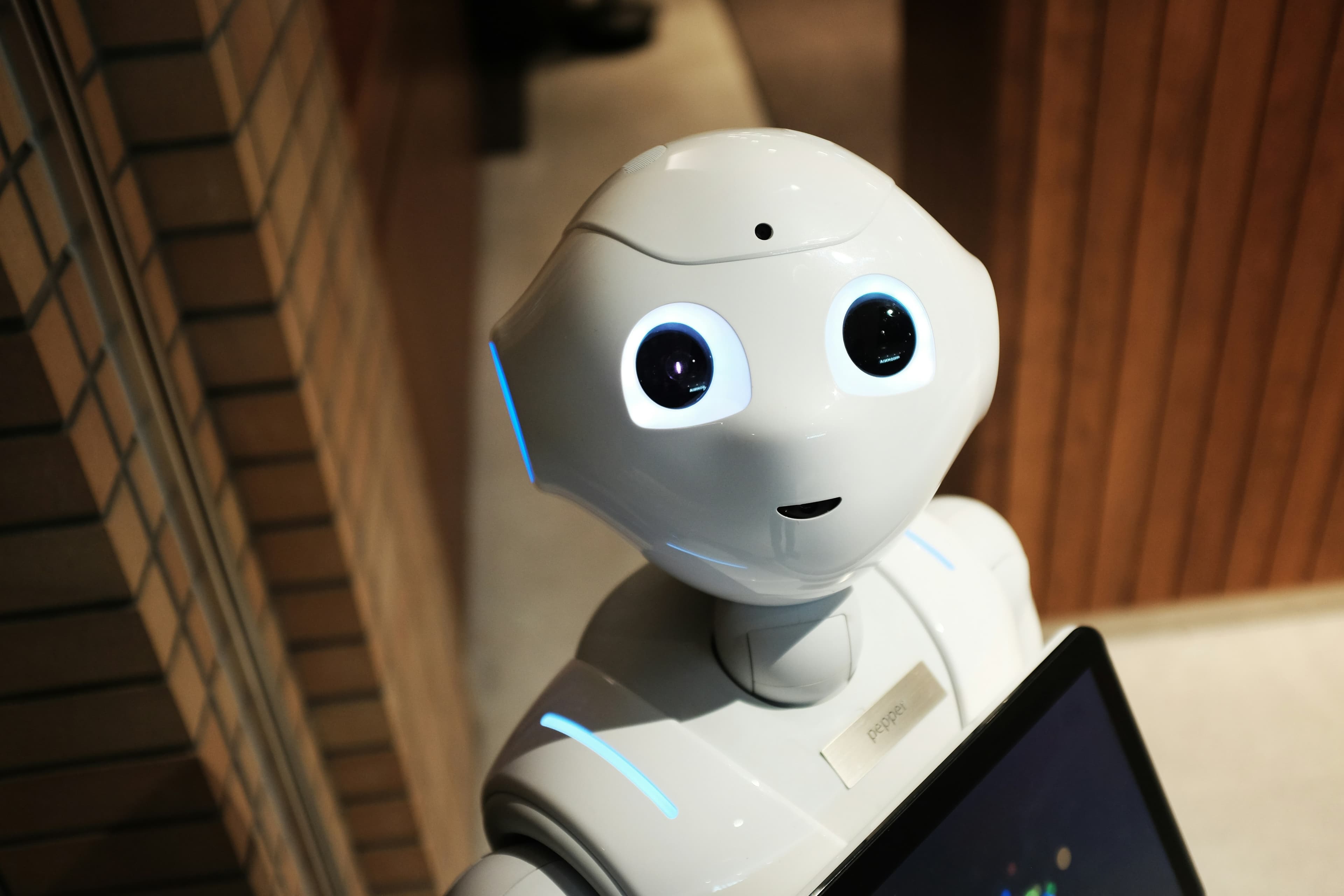 Case Study: Vegavan AI – Smart AI Chatbot for Customer Support & Lead Generation